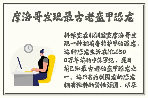 国内精品久久波多野结衣